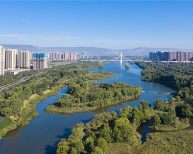 工程項目管理系統(tǒng)